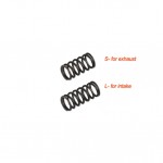 850514-Valve Spring (2pc.)