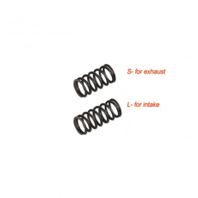 850514-Valve Spring (2pc.)